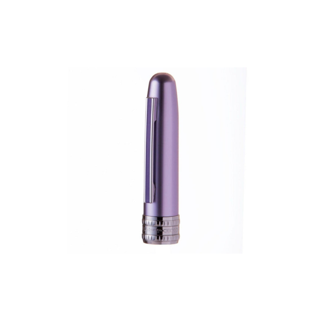 Platinum Plaisir Fountain Pen - Violet