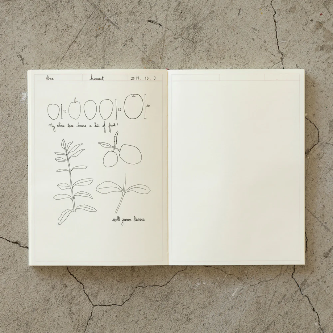 MD Notebook Journal A5 - Frame A