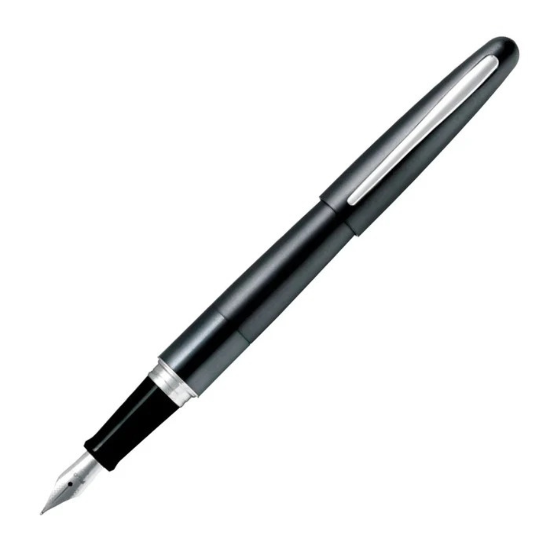 Pilot Cocoon Fountain Pen - Metallic Gray