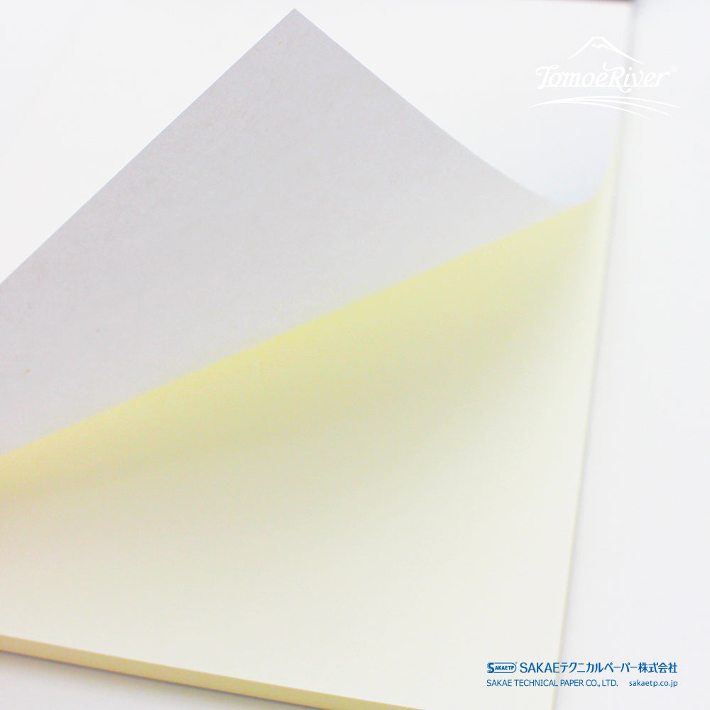 Tomoe River FP Paper 52 GSM Loose Sheets - A4 - Cream - 100 Sheets
