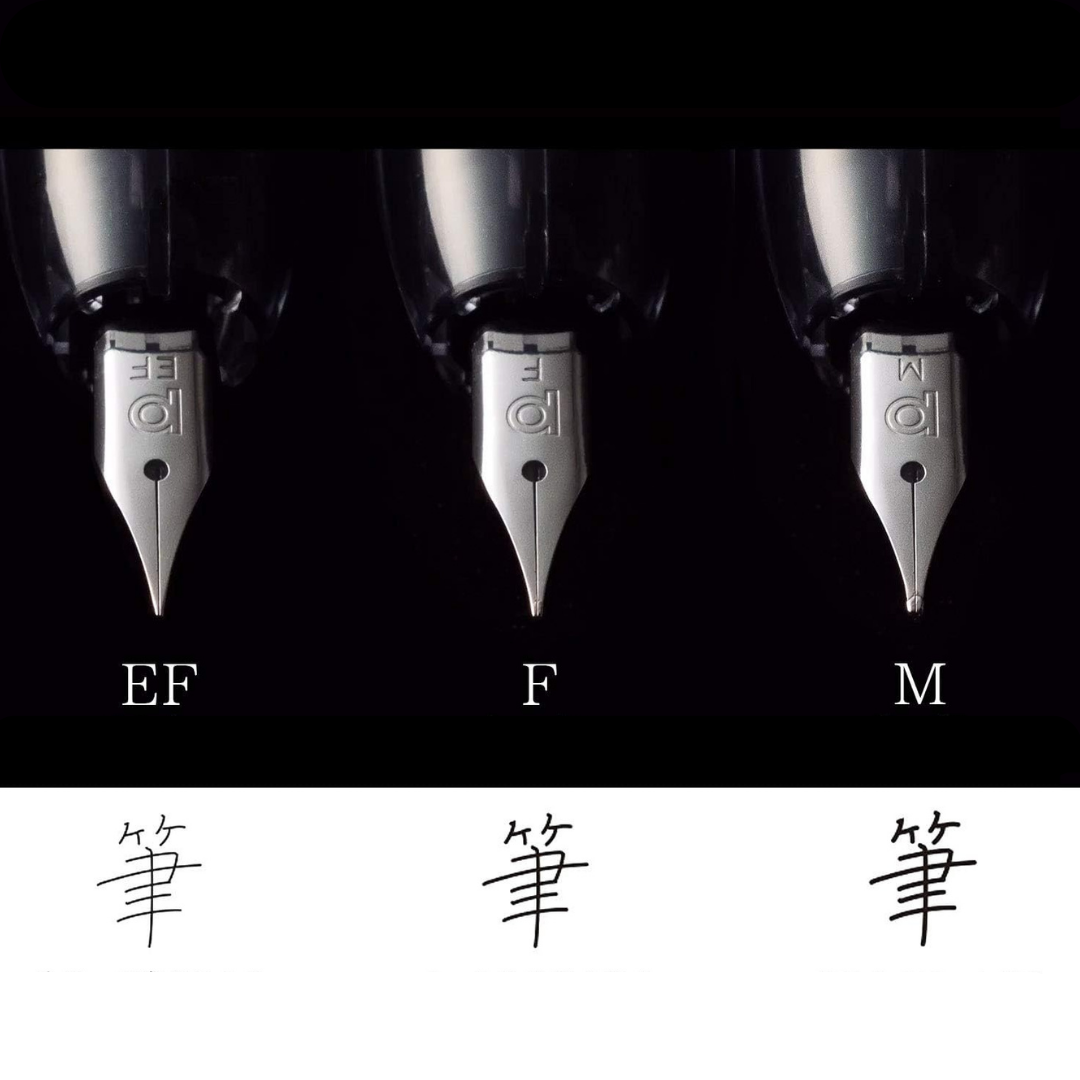Platinum Curidas Fountain Pen - Graphite Smoke