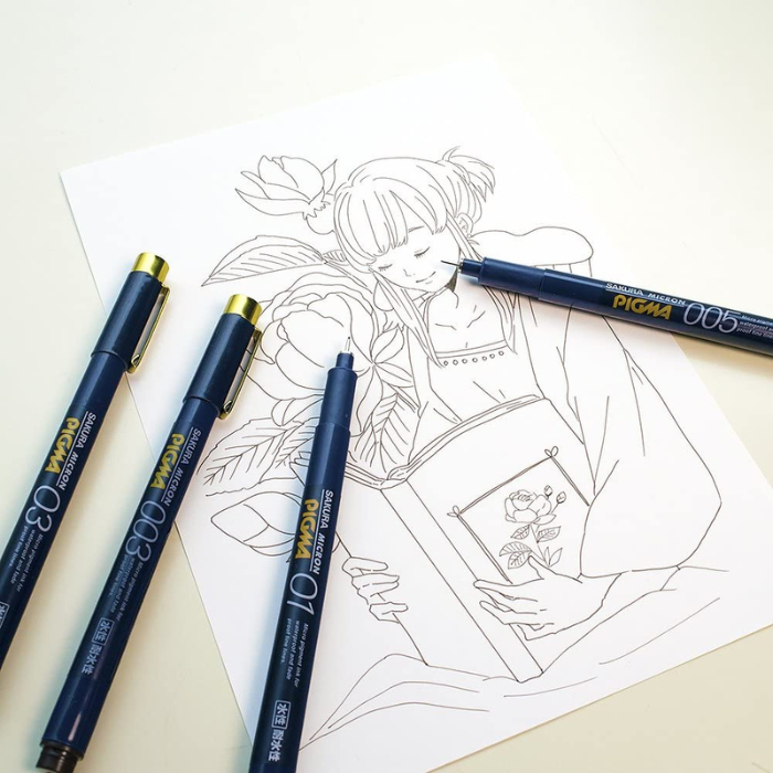 Sakura Pigma Micron Pen - ESDK - Black Sets