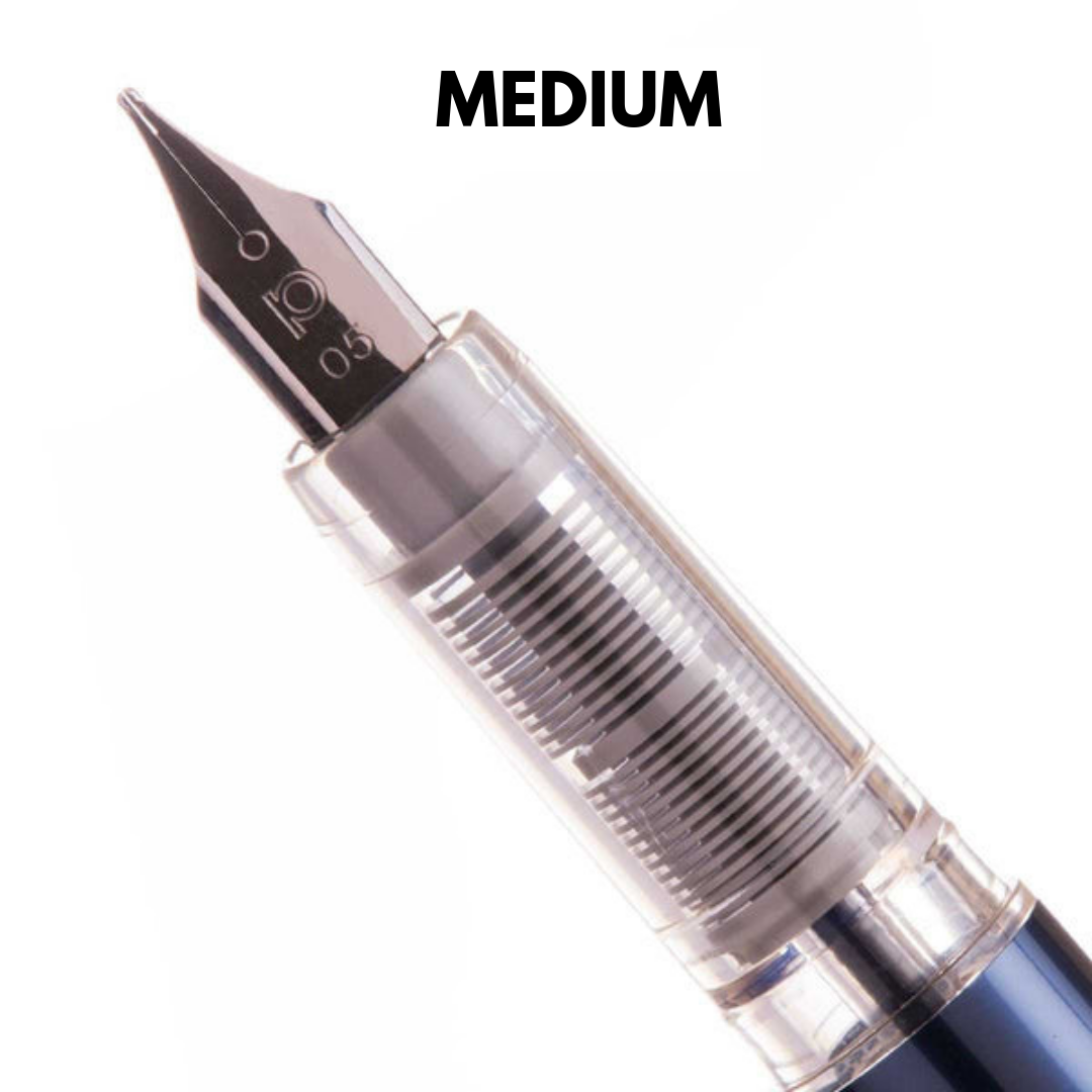 Platinum Plaisir Fountain Pen - Blue