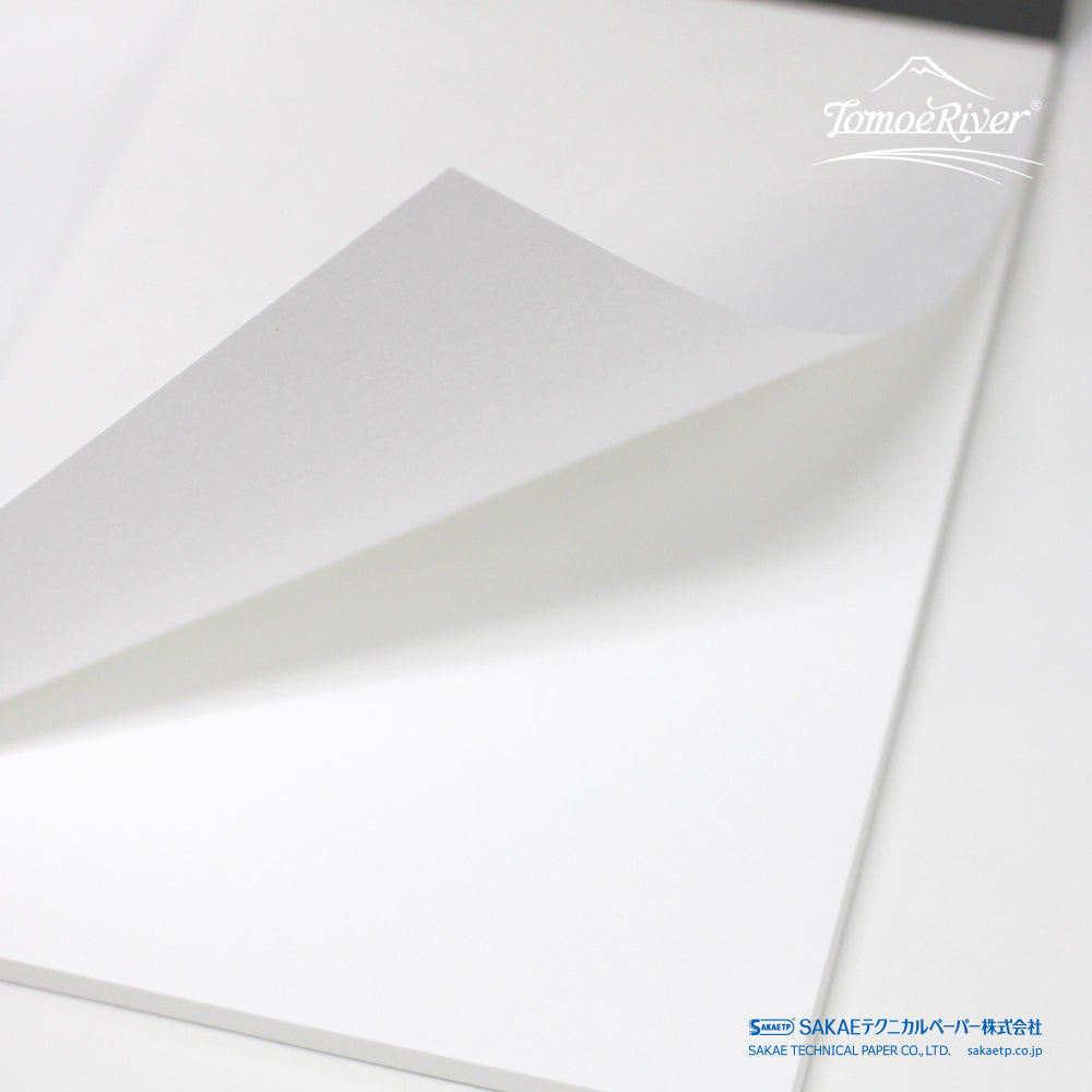 Tomoe River FP Paper 52 GSM Loose Sheets - A4 - White - 100 Sheets